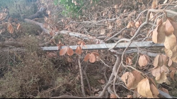 A 'bagaceira' que a Equatorial deixou na zona rural de Matões